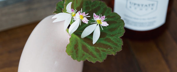 KINTO Journal Article Single flower vase SACCO vase porcelain 